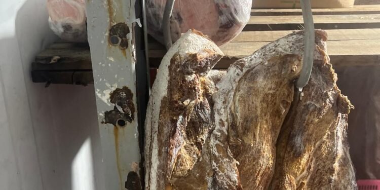 Supermercado no Jardim Esperança é interditado pela Vigilância Sanitária em Cabo Frio