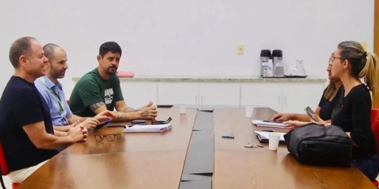 Jardins filtrantes serão usados para despoluir Canal do Molambo, em Macaé