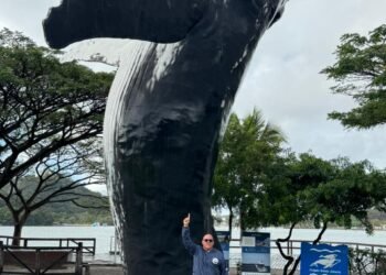 Maior escultura de baleia-jubarte do país será instalada em Arraial do Cabo