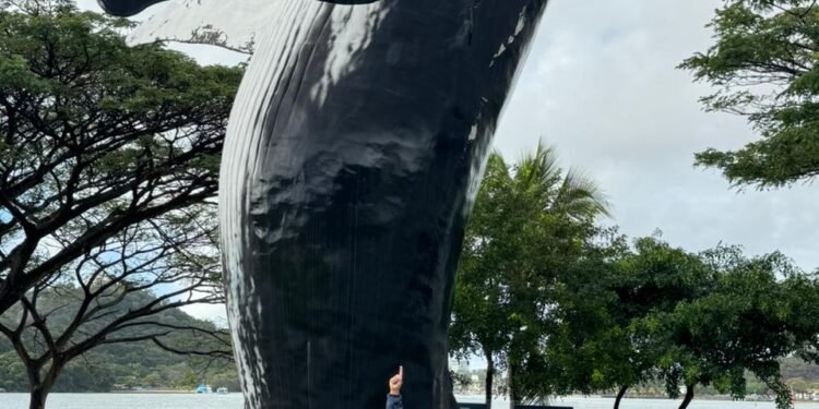 Maior escultura de baleia-jubarte do país será instalada em Arraial do Cabo
