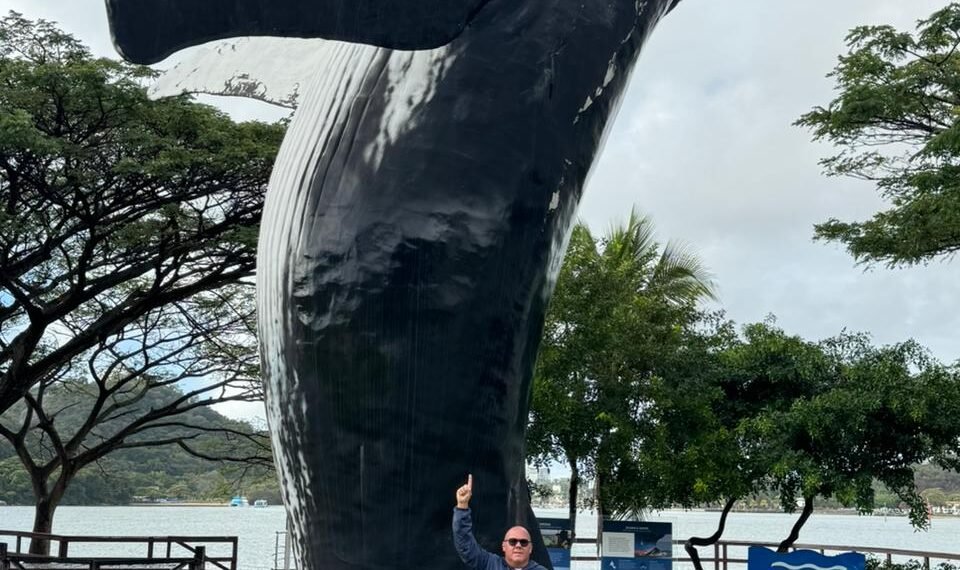 Maior escultura de baleia-jubarte do país será instalada em Arraial do Cabo