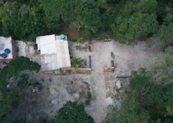Fiscalização com drone descobre desmatamento em Tamoios; veja a localização
