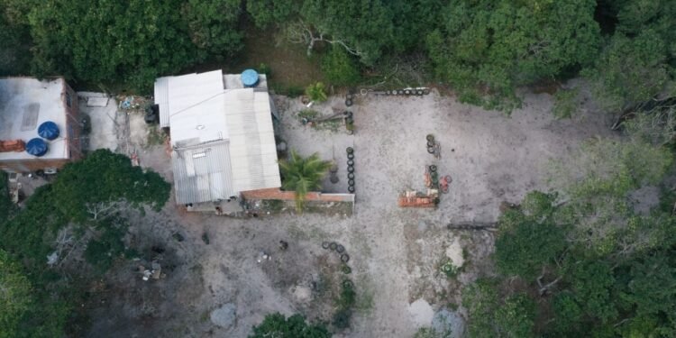 Fiscalização com drone descobre desmatamento em Tamoios; veja a localização