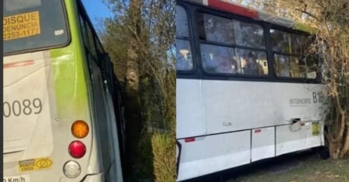 Ônibus sem freio: motorista joga ônibus contra poste e evita acidente