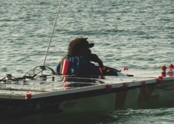 Competição inusitada de barcos movidos a energia solar acontece em Macaé; veja fotos