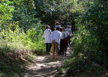 Inscrições abertas para curso gratuito de combate a queimadas florestais no Sana