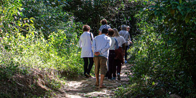 Inscrições abertas para curso gratuito de combate a queimadas florestais no Sana