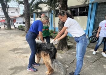Saiba os locais de vacinação contra a raiva em Rio das Ostras