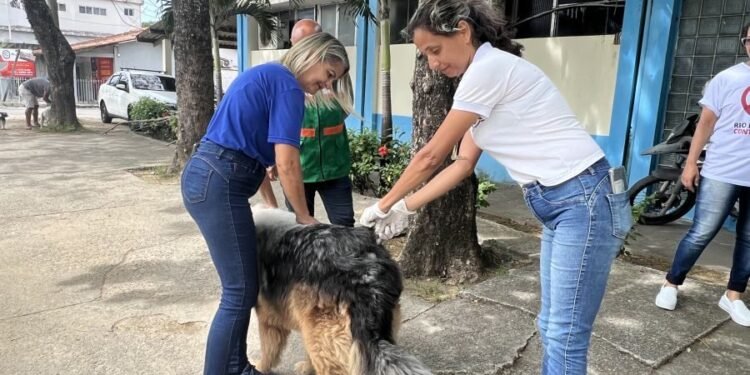 Saiba os locais de vacinação contra a raiva em Rio das Ostras