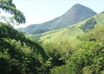 Bicuda Pequena, distrito de Macaé, é alvo de investigação por venda ilegal de terrenos