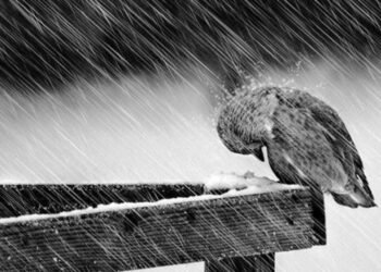 O preço emocional de ser forte o tempo todo