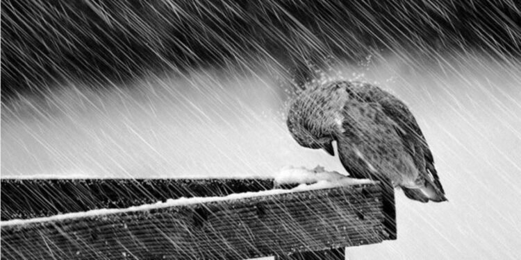 O preço emocional de ser forte o tempo todo