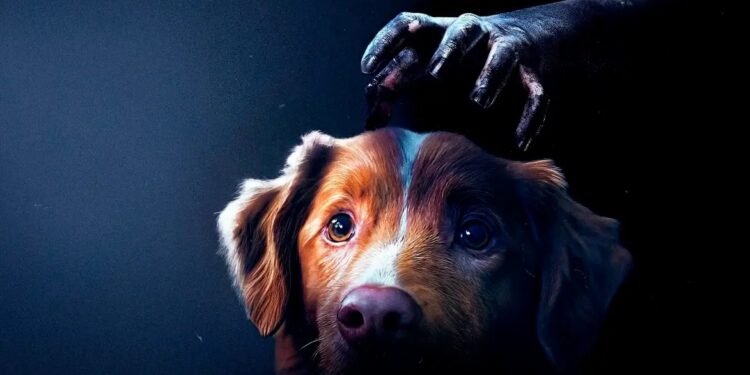 Os amantes de cinema já têm programa garantido no Halloween; veja o que vai rolar