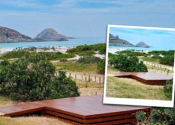 Auto Viação Salineira realiza ação de compensação ambiental em área de restauração em Arraial do Cabo