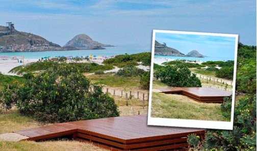 Auto Viação Salineira realiza ação de compensação ambiental em área de restauração em Arraial do Cabo