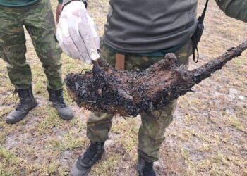 Incêndio de grandes proporções mata animais silvestres e deixa guarda-parque ferido em Arraial do Cabo
