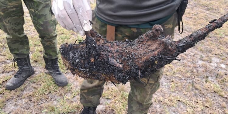 Incêndio de grandes proporções mata animais silvestres e deixa guarda-parque ferido em Arraial do Cabo