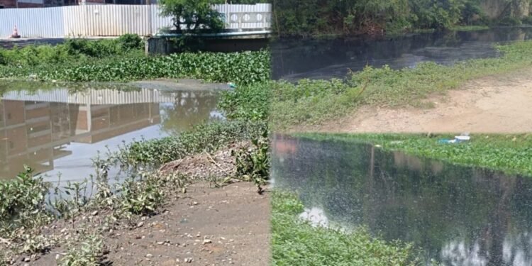 População é convocada para discutir saneamento em Rio das Ostras; haverá transporte gratuito