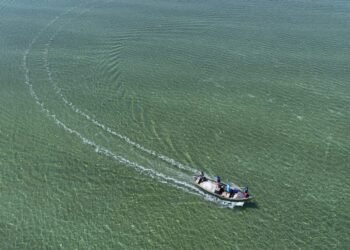 Festival das Águas promete animar domingo (22) em Arraial do Cabo