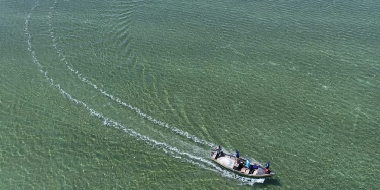 Festival das Águas promete animar domingo (22) em Arraial do Cabo