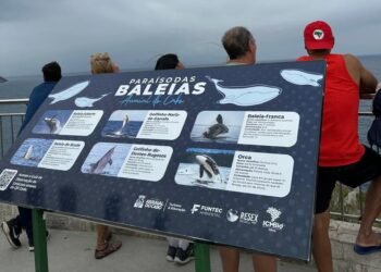 Inscrições abertas para atuar em projetos ambientais em Arraial do Cabo