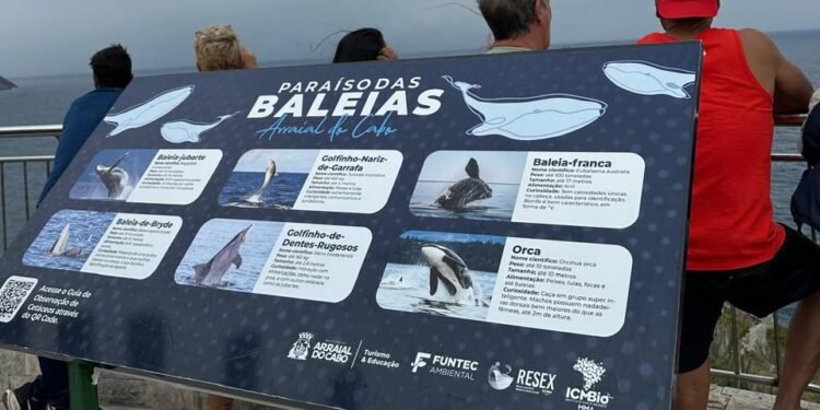 Inscrições abertas para atuar em projetos ambientais em Arraial do Cabo