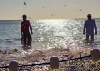 Cadastro de pescadores artesanais começa em Arraial do Cabo