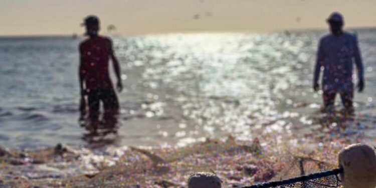 Cadastro de pescadores artesanais começa em Arraial do Cabo