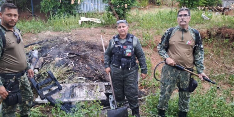 Queima de lixo provoca princípio de incêndio em área de proteção em Cabo Frio
