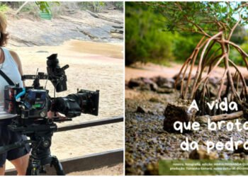 “A Vida que Brota da Pedra”, sobre Mangue de Pedra, é destaque em mostra internacional de cinema