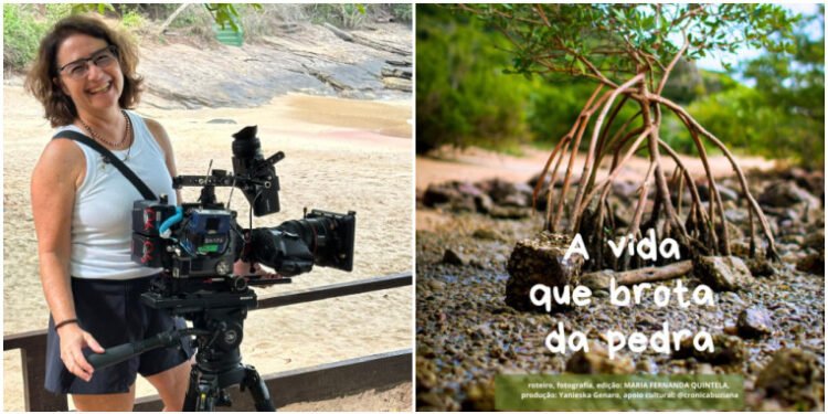 “A Vida que Brota da Pedra”, sobre Mangue de Pedra, é destaque em mostra internacional de cinema