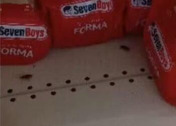 Fezes de gatos e baratas entre alimentos; denúncias assustam clientes em supermercado de São Pedro da Aldeia