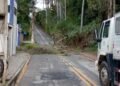 Queda de árvore altera trânsito em Macaé