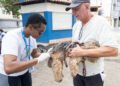 Macaé realiza vacinação antirrábica gratuita para cães e gatos nesta sexta-feira (26)
