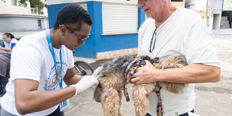 Macaé realiza vacinação antirrábica gratuita para cães e gatos nesta sexta-feira (26)