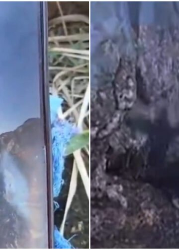 Homem morre após queda em trilha na Pedra do Macaco, em Maricá; vídeo registra acidente