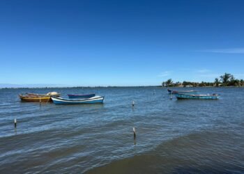 Festival do Peixe reúne gastronomia e shows em Araruama; confira programação
