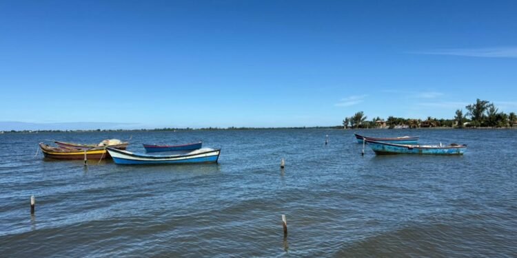 Festival do Peixe reúne gastronomia e shows em Araruama; confira programação