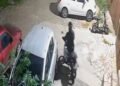 Furto de moto é registrado por câmeras de segurança em Búzios