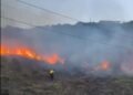 Pontal do Atalaia tem área de vegetação atingida por incêndio em Arraial do Cabo