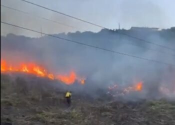 Pontal do Atalaia tem área de vegetação atingida por incêndio em Arraial do Cabo