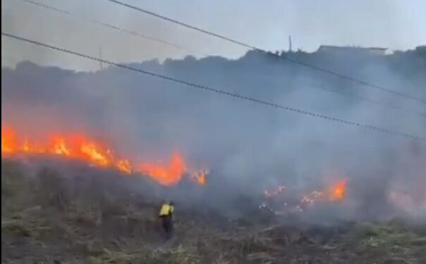 Pontal do Atalaia tem área de vegetação atingida por incêndio em Arraial do Cabo