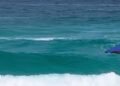 Baleia impressiona moradores e turistas em Arraial do Cabo