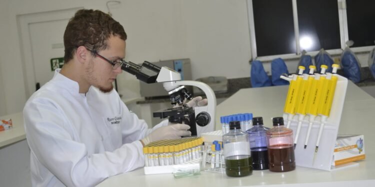 Pesquisa do NUPEM/UFRJ avança no estudo dos borrachudos; trabalho publicado em revista internacional reforça ciência inclusiva