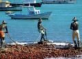 Festa dos Pescadores 2026 agita domingo (28) em Búzios; Samba Búzios é uma das atrações