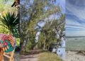Arraial do Cabo aposta em novas rotas para mostrar destino além das praias