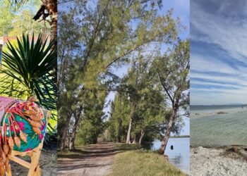 Arraial do Cabo aposta em novas rotas para mostrar destino além das praias