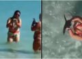 Mulher pega pinguim no colo para foto em Arraial do Cabo; vídeo repercute e gera alerta