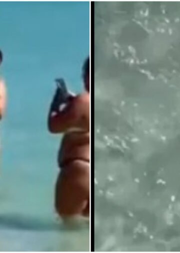 Mulher pega pinguim no colo para foto em Arraial do Cabo; vídeo repercute e gera alerta