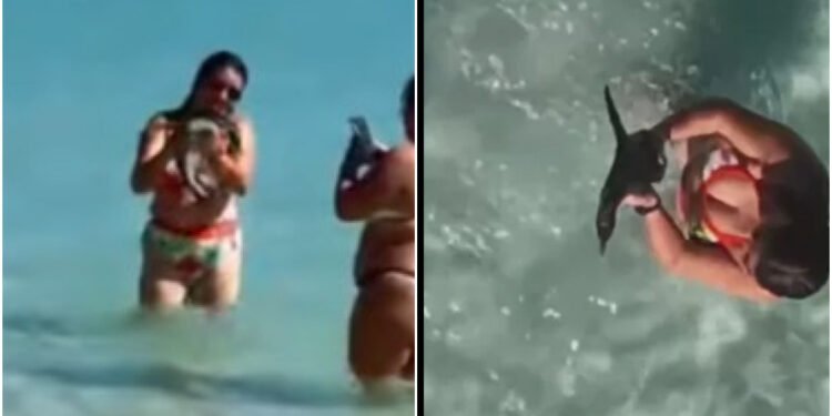 Mulher pega pinguim no colo para foto em Arraial do Cabo; vídeo repercute e gera alerta